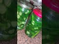 Https Youtu Be Ae73H4 JtR8 Si KiRB5U1wBSoqyXMA 