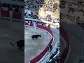 🐂 💩