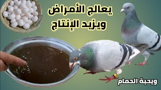 مكون موجود في البيت هيخلى الحمام يبيض زى الساعة وبدون امراض والزغاليل وزنها هيزيد زى الفيل