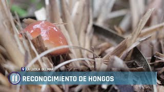 Capacitación del mundo fungi en La Lucila