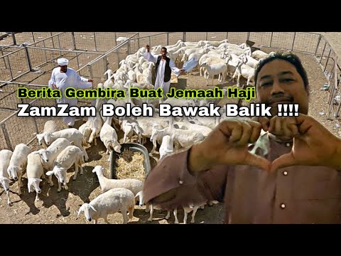 Zam-Zam Dah Boleh Bawak Balik Jemaah Haji, Berita Baik Sambil Bawak Jalan-Jalan Sembelih Korban