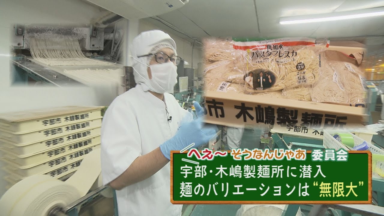 Wow, I see. Committee: Supporting noodle culture. Kijima Noodle
