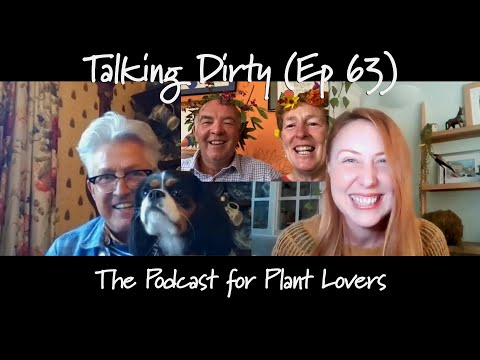 Video: Morning Glory Sweet Potato (31 Photos): Planting Seeds And Caring For A Perennial Plant, Use In Landscape Design And Growing Indoors, Varieties With Carved Leaves