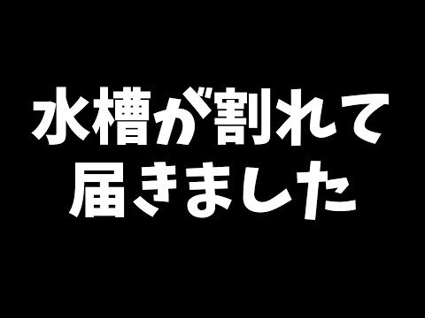 割れた水槽の返品交換がスムーズでした - YouTube