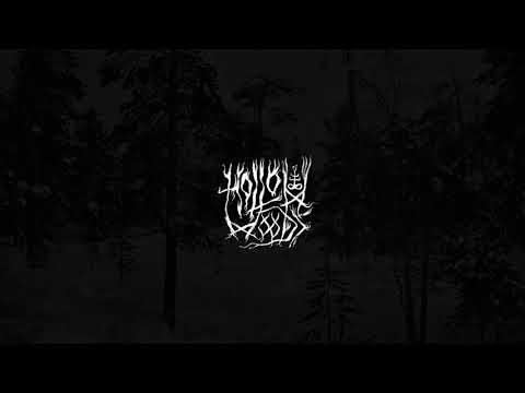 HOLLOW WOODS - Evergreen Vigil [TRACK PREMIER]