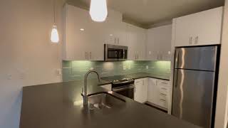 Athlete Statistics Cascade Apartments - South Lake Union - 1 Bed A1 E 441