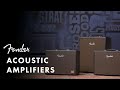 Acoustic amplifier series  fender amplifiers  fender