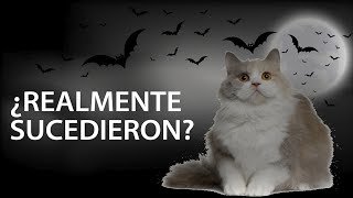 Historias de terror de gatos | Selena Mendivil by Selena Mendivil 425 views 3 years ago 9 minutes, 3 seconds