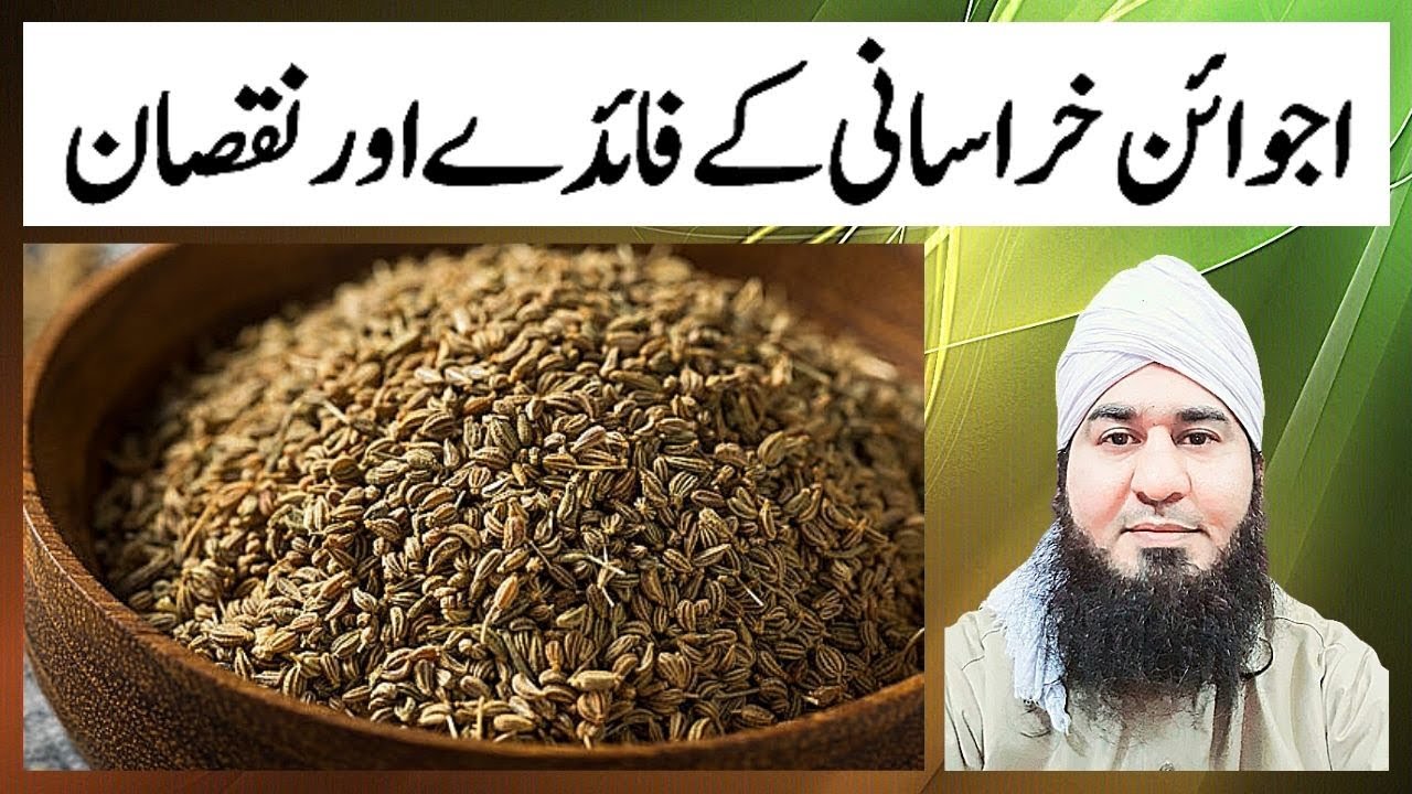 Ajwain Khurasani (اجوائن خراسانی) Ke Fayde or Nuksan Hafiz Hakeem