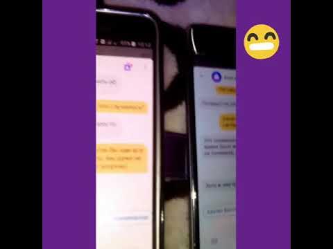 Алиса отвечает на звонки телефона. Включить алису голосовой. Включим 2 алисы на 2 телефонах. Алиса яндекс включить. Алиса яндекс включить.