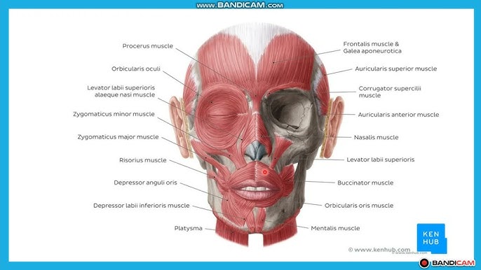 Марокколық студентпен жыныстық қатынас
