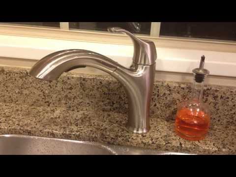 Costco Wr Water Ridge Pull Out Faucet