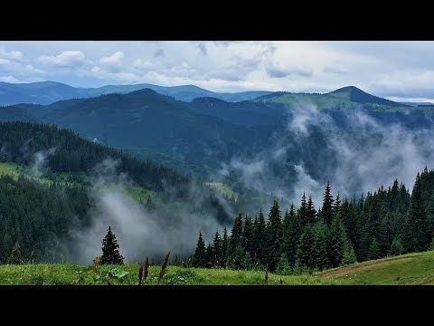 The beauty of the Carpathian Mountains | Air video in 4K. Карпаты с высоты птичьего полета.