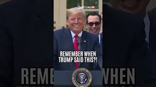 FLASHBACK: Remember When Trump Said THIS?