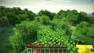 Minecraft Recording Test
