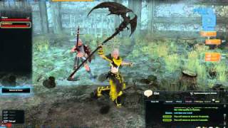 vindictus: unlimited sp bug