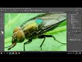 Tutorial Membuat Preset Edit Foto Macro Natural Menggunakan Photoshop CC 2015