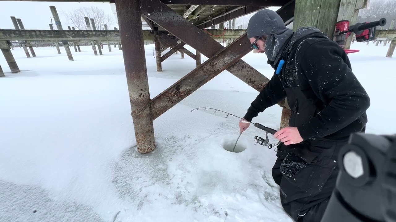 Ice fishing marina perch 