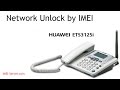 Unlock Huawei ETS3125i from Megafon Russia