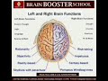 What's function of left brain and right brain? / Brain Booster School Varanasi/📱 9453081534