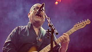 Headache by Frank Black (Live in Toronto)