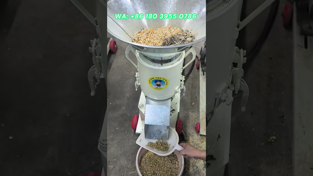New flat die feed pellet machine, vertical ring die pellet machine. I am the factory 