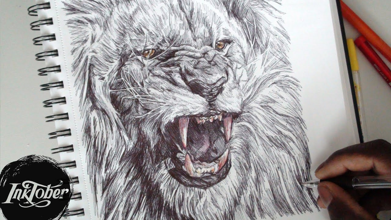 EPIC LION ROAR PEN DRAWING - INKTOBER DAY 2 (2017) - YouTube