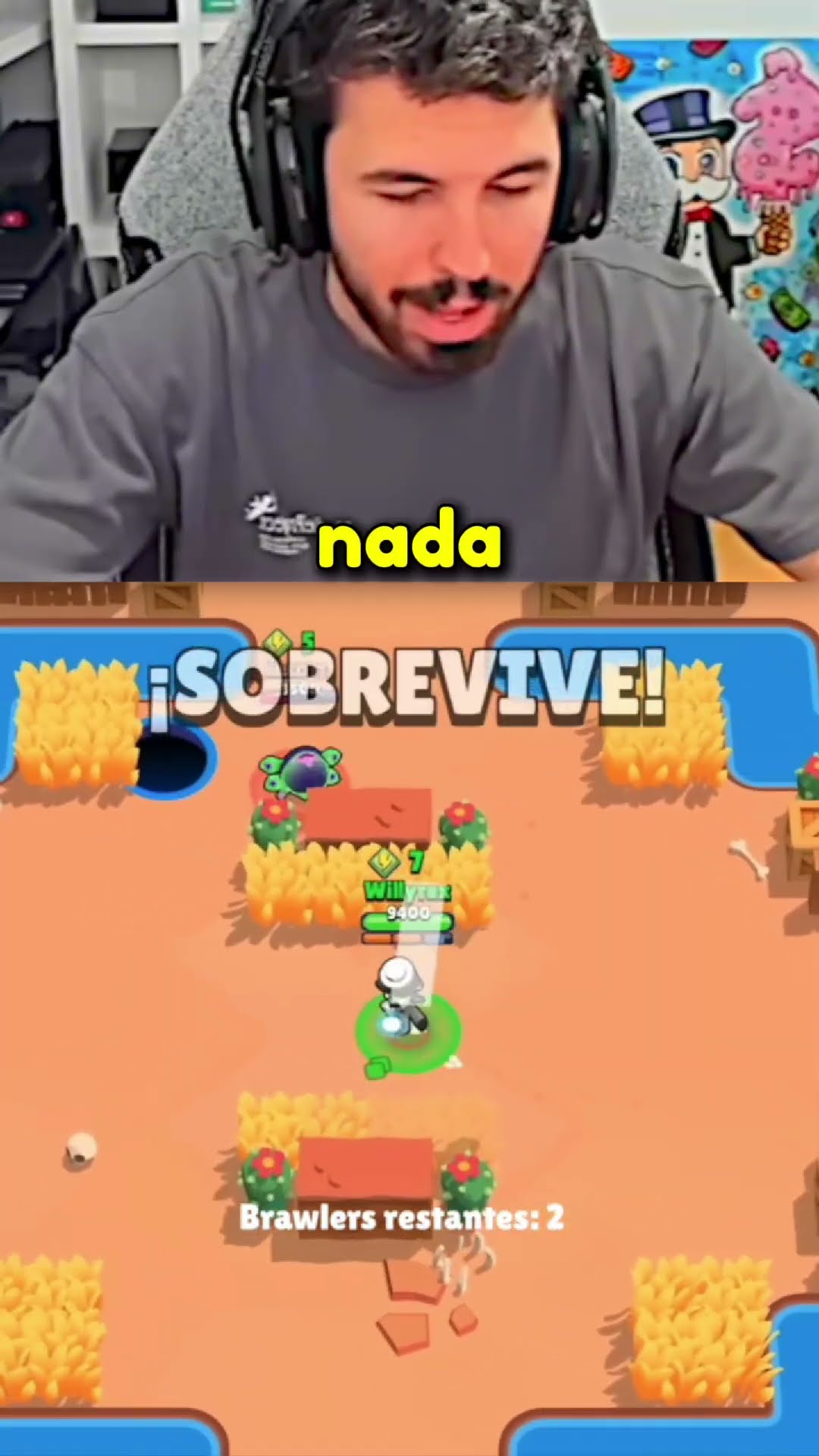 Maxeo a GRAY ?
