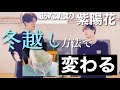 〈冬だ!冬越しだ!休眠だ!〉これで寒さも怖くない。紫陽花冬の管理方法
