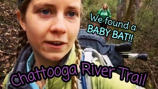 Chattooga River Trail