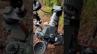 Medium Format Macro Photography with Pentax 67II, 135mm, Helicoid Extension Velvia 50