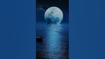 سورة البينة.... استمع الى القرآن الكريم  الذي يشرح الصدر