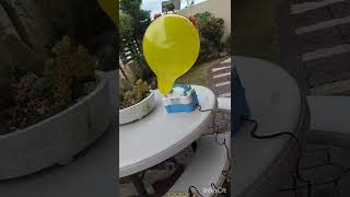 Inflate Until It Bursts Emoji Yellow Balloon
