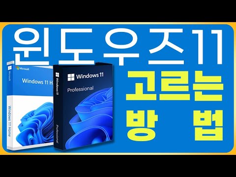 <strong>윈도우즈</strong> <strong>11</strong> 홈과 프로 버전 어떤 거 살까? 제일 중요한 건 이겁니다