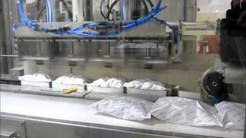 Transportsystemen Gantry Robot