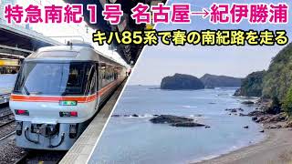 【海の車窓】キハ85系 特急南紀１号 名古屋→紀伊勝浦 桜と海 See Japan by train “Ltd. Exp. NANKI between Nagoya & Kii-Katsuura