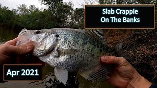 Huge Crappie Slabs Spawning on the Banks of the Arkansas River- April 2021