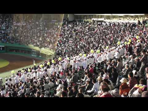 2018秋近畿大会応援　大阪桐蔭　ダイナミック琉球