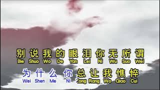 郑源   别说我的眼泪你无所谓 bie shuo wo de yan lei ni wu suo wei