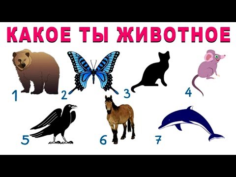 Уникальный тест! КАКОЕ ТЫ ЖИВОТНОЕ? Тест расскажет о вас всю правду! Психологические тесты онлайн