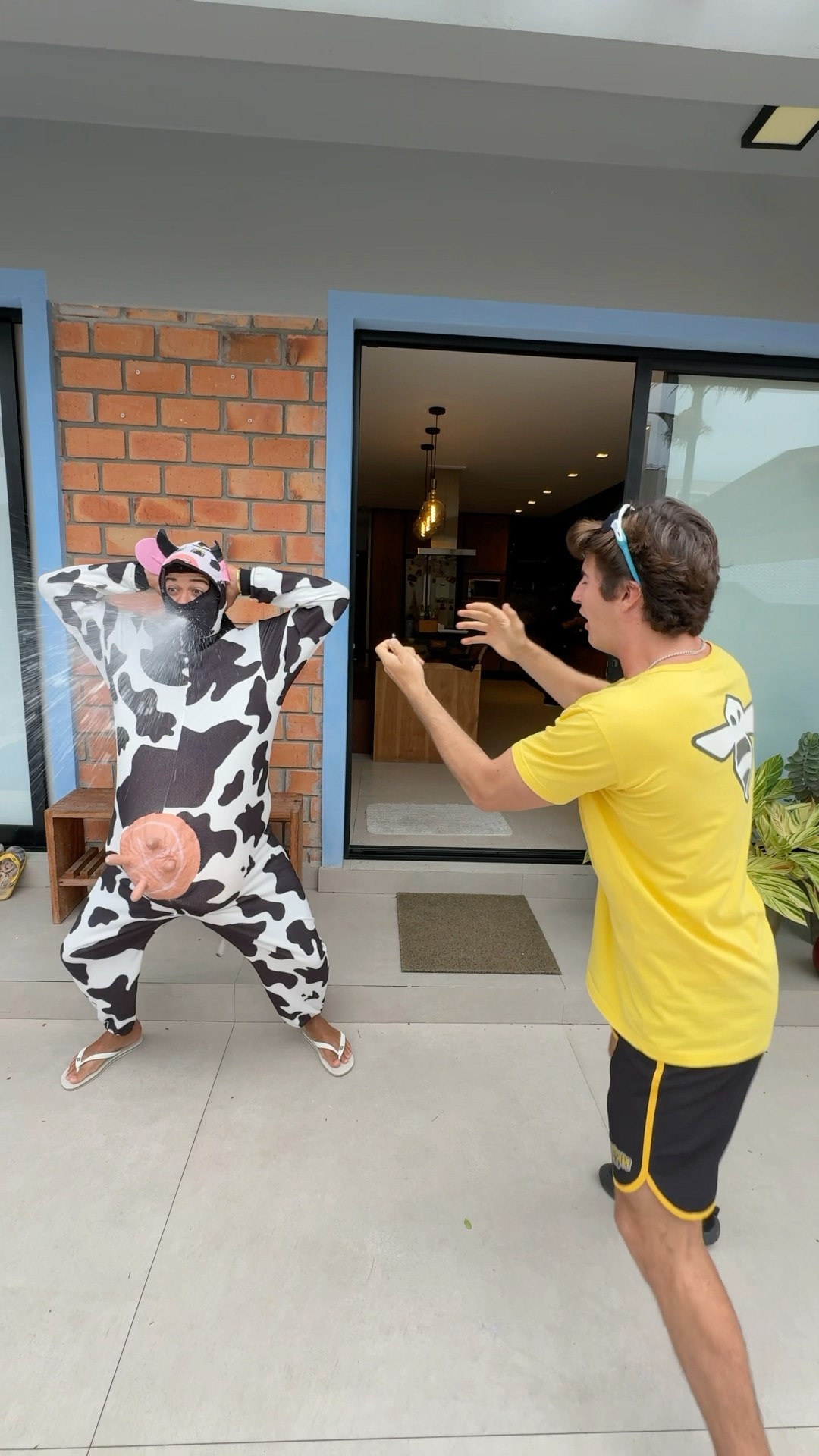 FOREVER COW