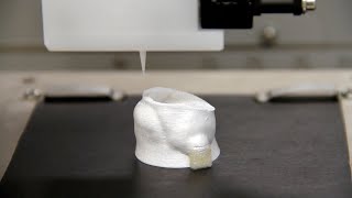 TECH TIPS: Creating Dissolvable Supports on the 3D-Bioplotter®