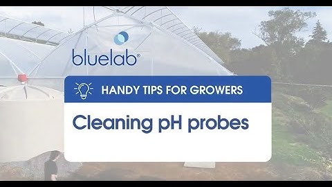 Bluelab Cleaning pH probes