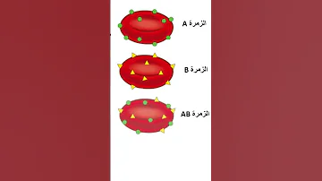نظام ABO 