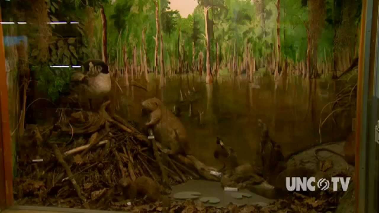 uctv movies Neuseway Nature Park | NC Weekend | UNC-TV