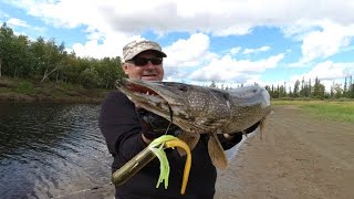 видео: Тюбы, редкая но вкусная приманка на щуку, которая то же ловит! картинка: Тюбы, редкая но вкусная приманка на щуку, которая то же ловит!