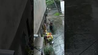 Good Night Sweet Dreams