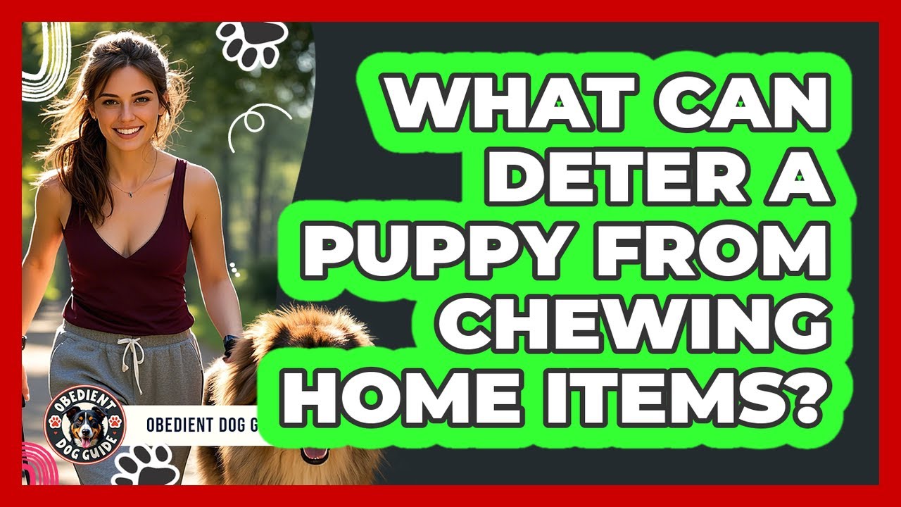 What Can Deter A Puppy From Chewing Home Items?