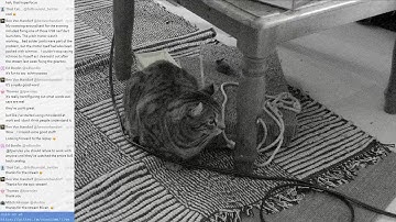 Live gimbal IDA disassembly and debug, how does it roll? @scanlime-in-progress