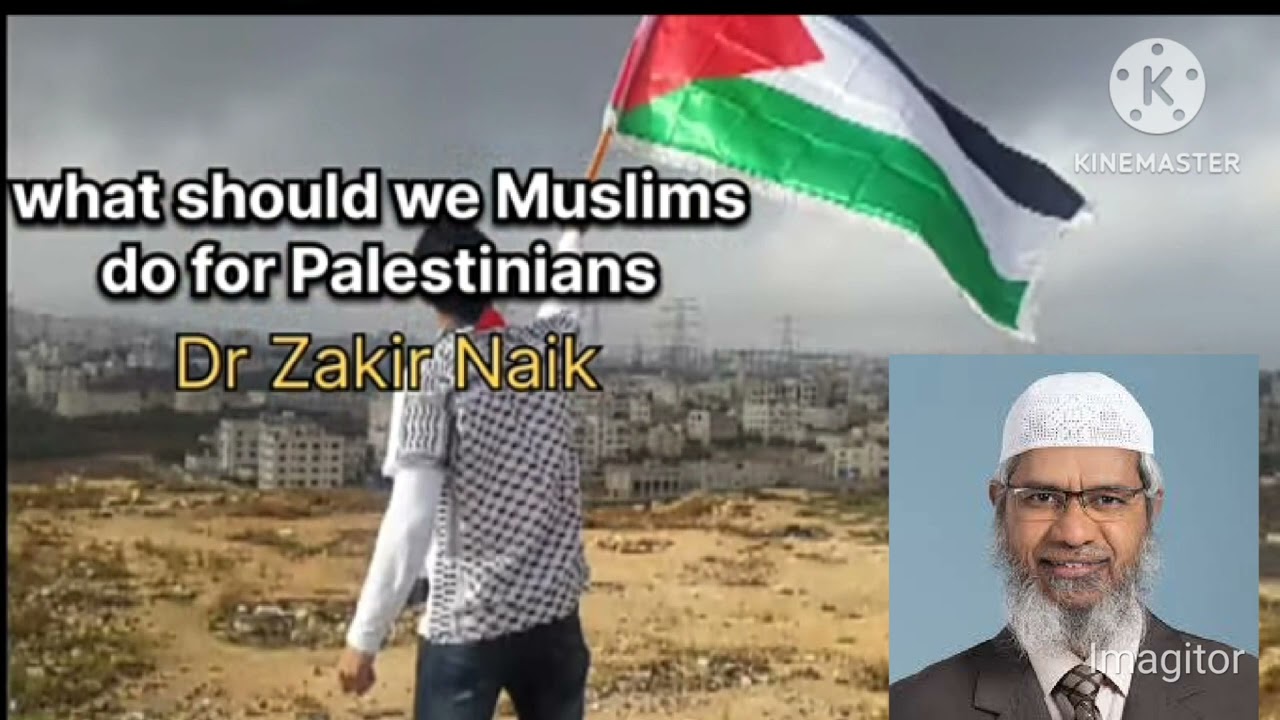 What can Muslims do for Palestinians